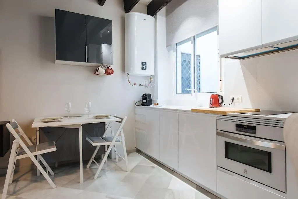 Apartment Ad2B Apartment, 300M From Cathedral With 2Br Seville Spain